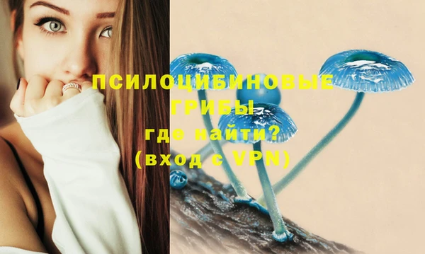 мяу мяу мука Алзамай