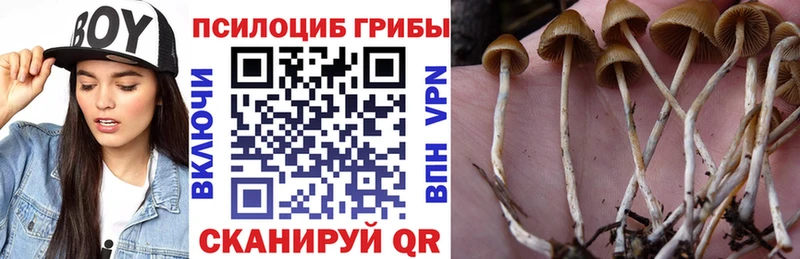 MEGA зеркало  купить закладку  Тетюши  Псилоцибиновые грибы Cubensis 