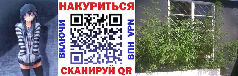 где продают   Тетюши  МАРИХУАНА ГИДРОПОН 